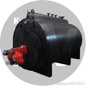 Парогенератор 1000 кг газовый Парогенератор 1000 кг газовый