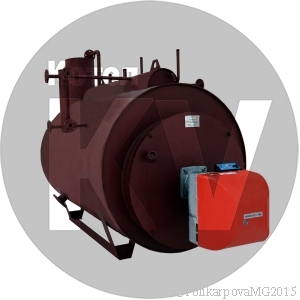 Газовый парогенератор 300 кг