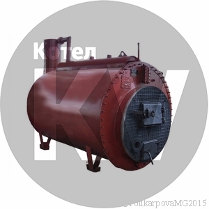 Парогенератор 300 кг час