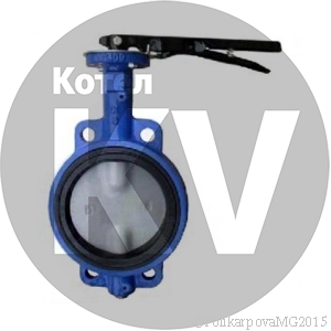 Затвор Ду 100