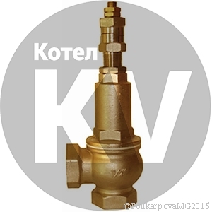 Клапан Ду 25