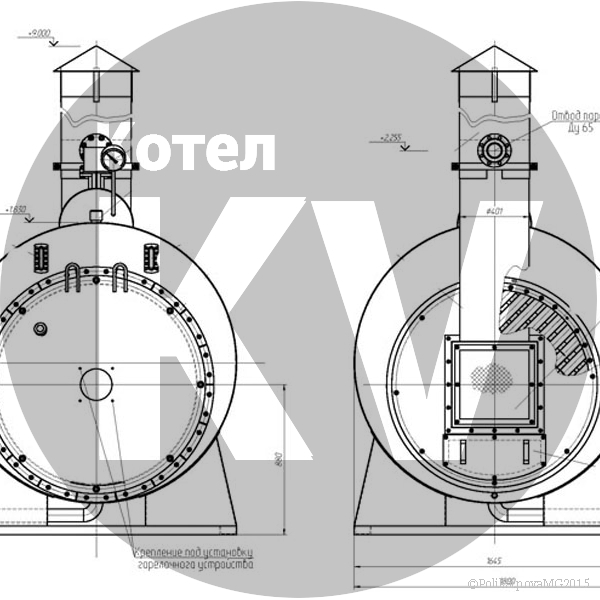 Чертеж газового парогенератора 700 кг фронт