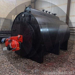 Парогенератор 1000 кг газовый